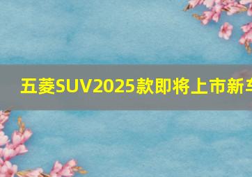 五菱SUV2025款即将上市新车