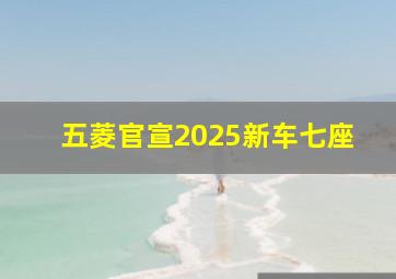 五菱官宣2025新车七座