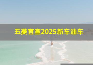 五菱官宣2025新车油车