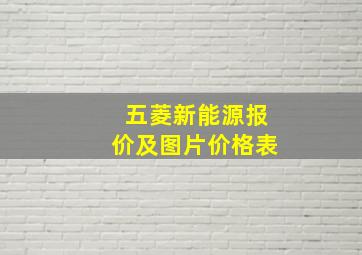 五菱新能源报价及图片价格表