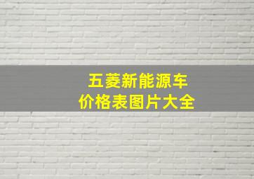 五菱新能源车价格表图片大全