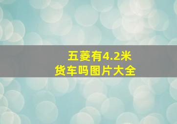 五菱有4.2米货车吗图片大全