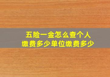 五险一金怎么查个人缴费多少单位缴费多少