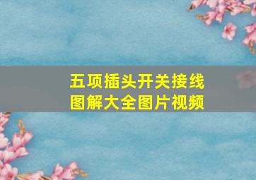 五项插头开关接线图解大全图片视频