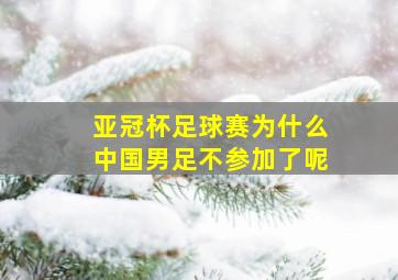 亚冠杯足球赛为什么中国男足不参加了呢