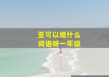 亚可以组什么词语呀一年级