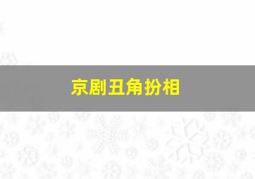 京剧丑角扮相