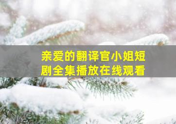 亲爱的翻译官小姐短剧全集播放在线观看