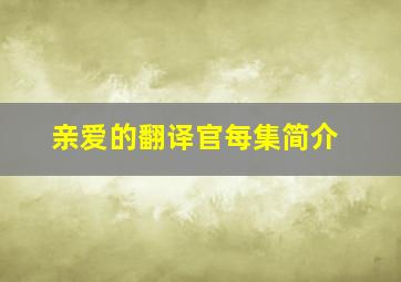 亲爱的翻译官每集简介