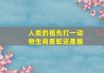 人类的祖先打一动物生肖是蛇还是猴