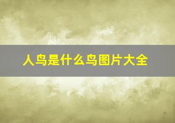 人鸟是什么鸟图片大全