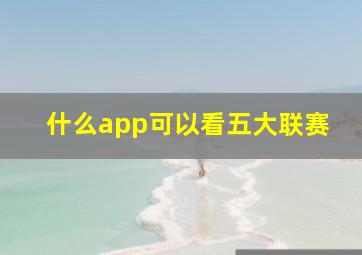 什么app可以看五大联赛