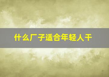 什么厂子适合年轻人干