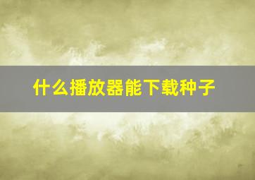 什么播放器能下载种子