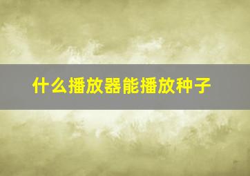 什么播放器能播放种子