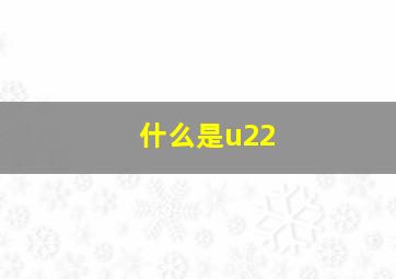 什么是u22