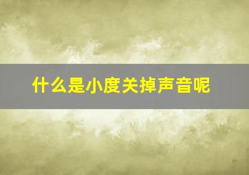 什么是小度关掉声音呢