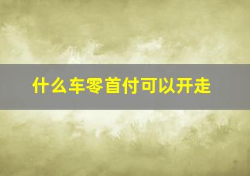 什么车零首付可以开走