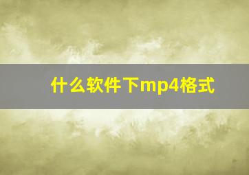 什么软件下mp4格式