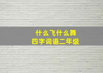 什么飞什么舞四字词语二年级