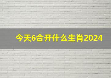 今天6合开什么生肖2024