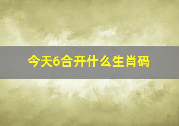 今天6合开什么生肖码