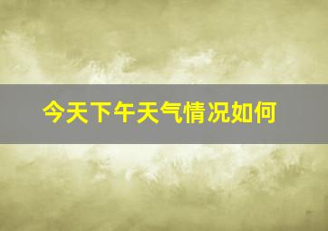 今天下午天气情况如何