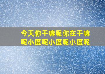 今天你干嘛呢你在干嘛呢小度呢小度呢小度呢