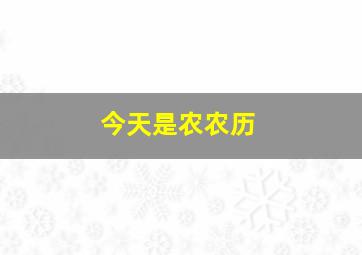 今天是农农历