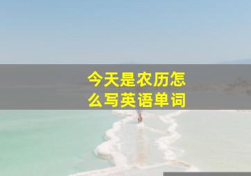 今天是农历怎么写英语单词