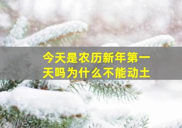 今天是农历新年第一天吗为什么不能动土