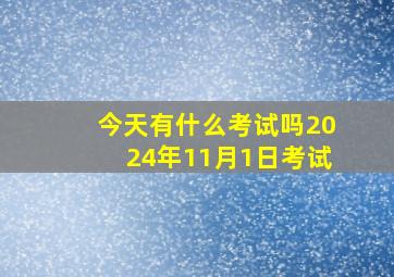 今天有什么考试吗2024年11月1日考试