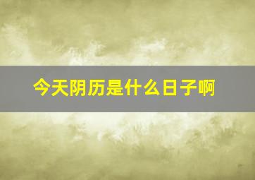 今天阴历是什么日子啊