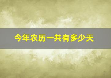 今年农历一共有多少天