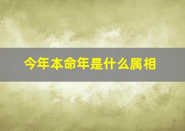 今年本命年是什么属相