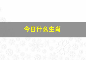 今日什么生肖