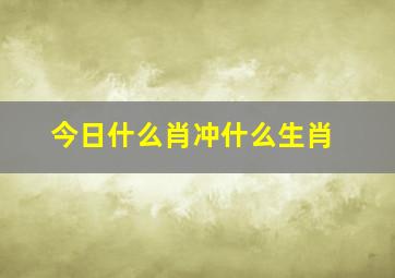 今日什么肖冲什么生肖