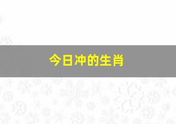 今日冲的生肖