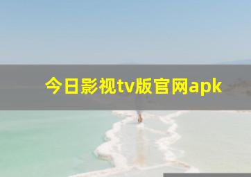 今日影视tv版官网apk