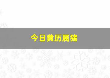 今日黄历属猪