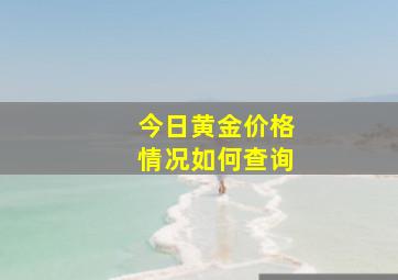 今日黄金价格情况如何查询