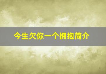 今生欠你一个拥抱简介