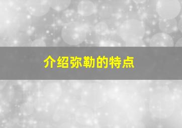 介绍弥勒的特点