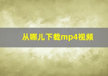 从哪儿下载mp4视频