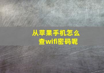 从苹果手机怎么查wifi密码呢