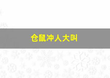 仓鼠冲人大叫