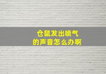 仓鼠发出喷气的声音怎么办啊