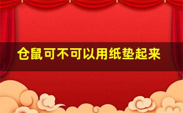 仓鼠可不可以用纸垫起来