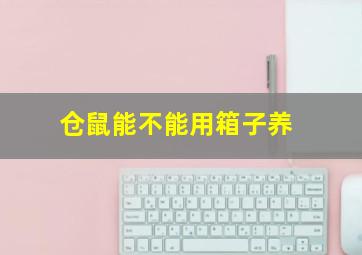 仓鼠能不能用箱子养