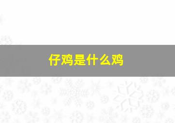 仔鸡是什么鸡